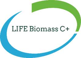 log-life-biomass-c